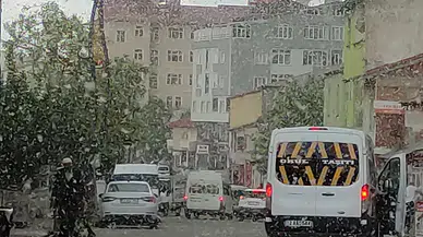 Bingöl'de kavak ağacı pamukçukları havada uçuştu