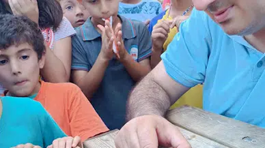 Bitkin halde bulunan ebabil tedavi edilip doğaya bırakıldı