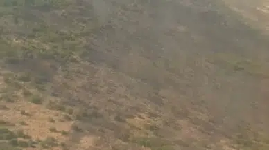 Urla'da orman yangını (2) 