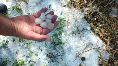 Yozgat'ta sağanak ve dolu ekili alanları vurdu