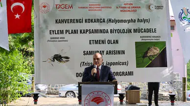 Artvin'de doğaya 12 bin samuray arı salındı