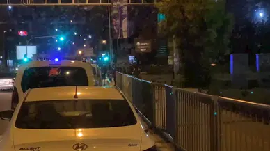 2 kardeş kavgayı ayıran 3 kişiyi bıçakladı  