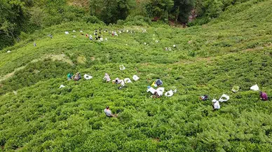 Dikkat o olay sadece Rize’nin Fındıklı ilçesinde olacak!