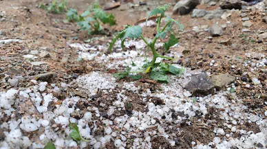 Feke'de dolu; ekili alan ile bahçeler zarar gördü 