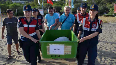 Tedavisi tamamlanan 2 caretta caretta, denizle buluşturuldu