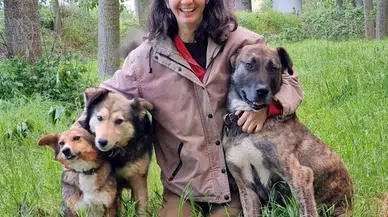 İspanyol akademisyenin bir köpeği zehirlendi, diğeri aynı gece kayboldu