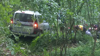 Ordu'da hafif ticari aracın ağaca çarptığı kazada 3 kişi yaralandı