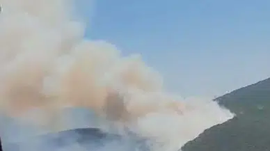 Urla'da orman yangını