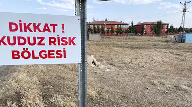 Şanlıurfa'da 2 mahalle, 'kuduz' nedeniyle karantinaya alındı