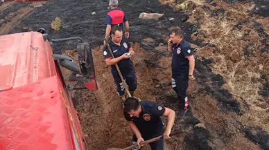 Şırnak'ta 'yıldırım' yangınları; buğday ekili araziler ile meralar yandı