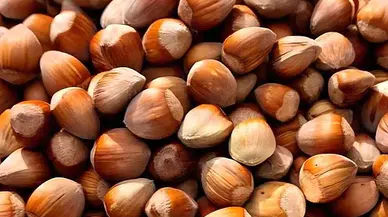 Fındık Fiyatları 9 Haziran 2024: Güncel Piyasa Değerleri