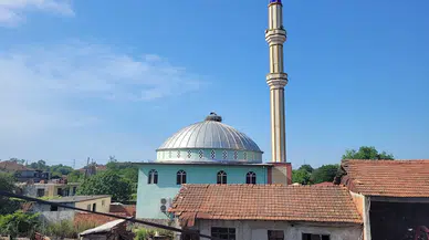 Cami kubbesi 12 yıldır leyleklere yuva oluyor 