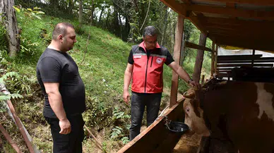 Ordu Tarım ve Orman Müdürü Yılmaz kurban kesimiyle ilgili tavsiyelerde bulundu: