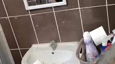 Öğretim görevlisinin çamaşır makinesine giren yılanı, itfaiye ekibi çıkardı