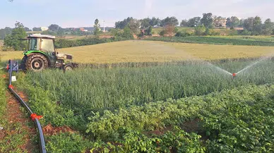 Gölköy Barajı ile 14 bin metrekarelik tarım arazisi sulanacak