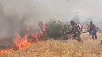 Nusaybin’de ağaçlıklı alanda çıkan yangın 4 saatte söndürüldü