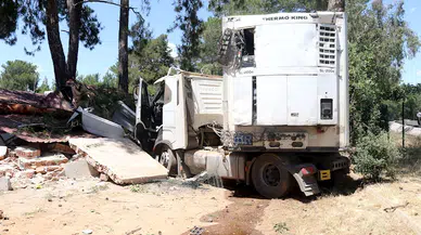 TIR balık üretim tesisi lojmanının odunluğuna girdi: 1 yaralı
