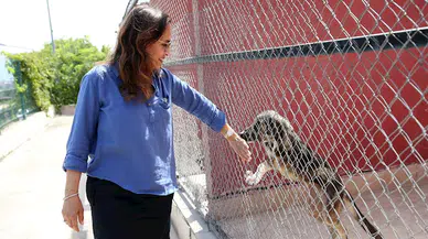 Karşıyaka'da can dostlar için seferberlik