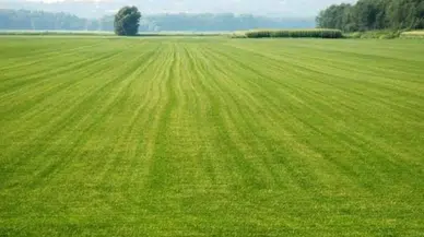 Orhaneli'de 3.199 Metrekare Tarla Satışa Çıkarıldı!