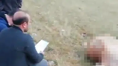 Kars'ta sağanak etkili oldu, sürüye düşen yıldırımda 10 büyükbaş öldü 