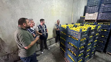 Mersin'de limon depoları denetlendi