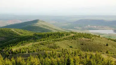 O ilde ormanlara girişler yasaklandı!