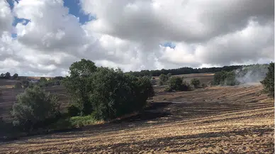 Samsun'da anız yangını yaklaşık 100 dönüm alanda zarara yol açtı