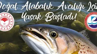 Rize'de Hemşin Deresi'nde doğal alabalık avcılığı 1 Ekim'den itibaren yasaklandı