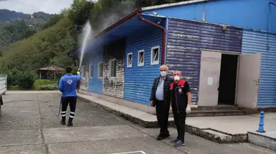 Vakfıkebir'de Kahverengi Kokarca ile Mücadelede İlaçlama Çalışmaları Devam Ediyor