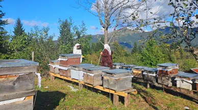 Şalpazarı'nda arıcılık kayıt altına alınıyor, sağlıklı bal üretimi hedefleniyor