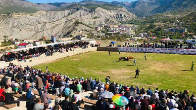 Ardanuç'ta Coşku Dolu Boğa Güreşleri Festivali Geleneksel Mirası Yaşattı