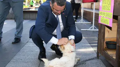 Trabzon’da 4 Ekim Dünya Hayvanları Koruma Günü Etkinliği: Satın Alma, Sahiplen Çağrısı