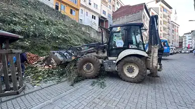 Şalpazarı Belediyesi İlçe Genelinde Temizlik ve Diken Temizliği Çalışmalarını Sürdürüyor