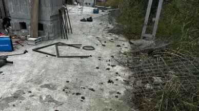 Hopa’da Hayvanseverlerden Sert Tepki: “Bu Koşullar Kabul Edilemez”