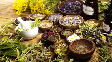Ruhsal İyilik Halinizi Güçlendiren Doğal Yöntemler: Bitki Çaylarının Etkisi