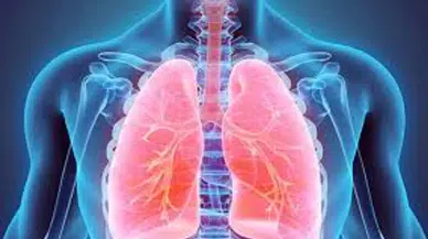 3 Gün Süren Ateş ve Nefes Darlığına Dikkat: Zatürre Belirtisi Olabilir