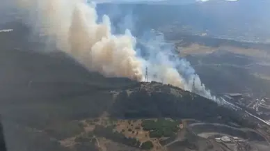 Aliağa'da Orman Yangını: Havadan ve Karadan Müdahale Devam Ediyor
