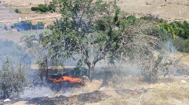 Kızıltepe'de bahçede çıkan yangın meyve ağaçlarına zarar verdi, nedeni araştırılıyor