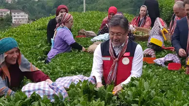Tarım ve Orman Bakanı Yumaklı: Çayda Korktuğumuz Olmadı, Fiyat Üreticiyi Memnun Etti