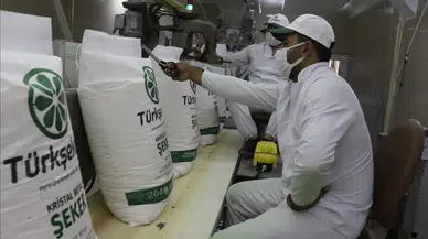 Türk Şeker Fabrikaları 111 Engelli Ve Eski Hükümlü İşçi Alımı İçin Başvuru Şartları Neler?