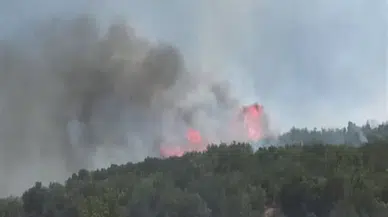 Gaziantep'te orman yangını 2,5 saatte kontrol altına alındı, 5 hektar alan zarar gördü