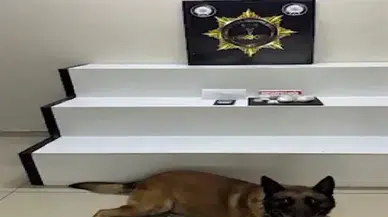 Burhaniye'de uyuşturucu operasyonu: 238 gram metamfetamin ve 3 gözaltı