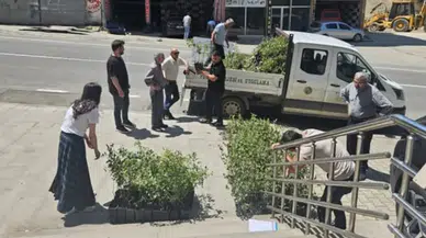 Trabzon’da Maviyemiş Yetiştiriciliği Projesi Kapsamında Sertifikalı Fidan Dağıtımı Başladı