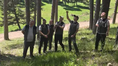 Erzurum Orman Müdürü Karakurt, Ardahan'daki ormancılık faaliyetlerini inceledi