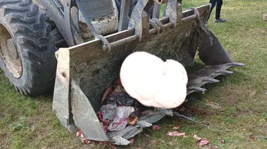 Oltu Belediyesi'nden Kurban Bayramı'nda Hijyen ve Temizlik İçin Önemli Adımlar