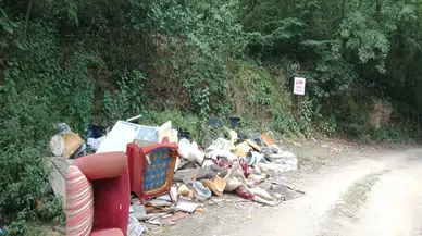 Arifiye'de Kurban Atıkları Ormanı Kirletti, Halk Çözüm İstiyor