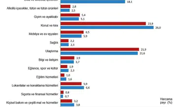 TÜİK Raporu: Hanehalkı Bütçesinde Konut ve Kira Harcamaları Öne Çıkıyor