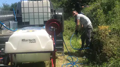 Trabzon Ortahisar’da Turunçgil Uzun Antenli Böceğine Karşı Kimyasal Mücadele Başladı