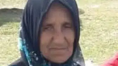 Ordu'da Hafriyat Kamyonu Yaya Kadına Çarptı, Yaşamını Yitirdi
