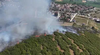Niksar'da çıkan maki yangınında 15 dönüm alan kül oldu, müdahale 1,5 saat sürdü
